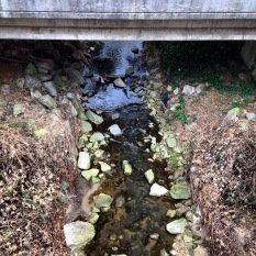 Proctor Creek ducking under the MARTA line between Mozley Park and Hunter Hills